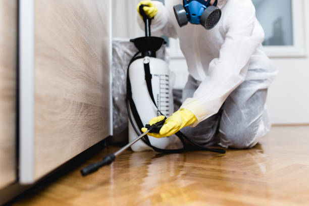 Best Bed Bug Extermination  in Binghamton, NY