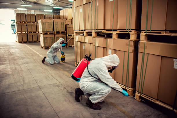 Best Pest Control Near Me  in Binghamton, NY