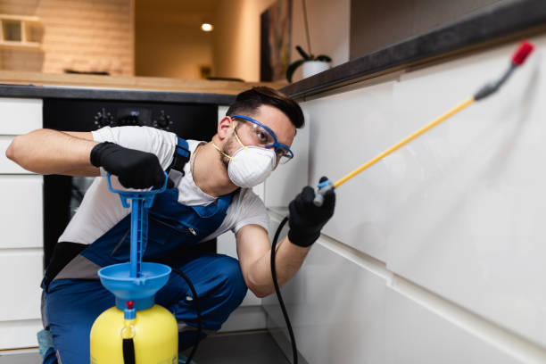 Best Termite Control Services  in Binghamton, NY