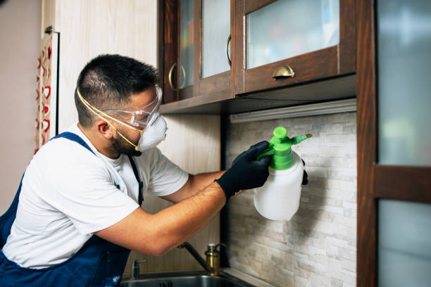 Best Emergency Pest Control  in Binghamton, NY