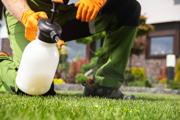 Best Pest Control Near Me  in Binghamton, NY