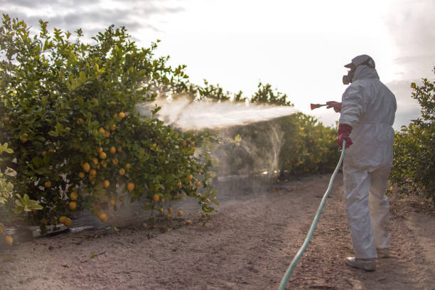 Reliable Binghamton, NY Pest Control Solutions
