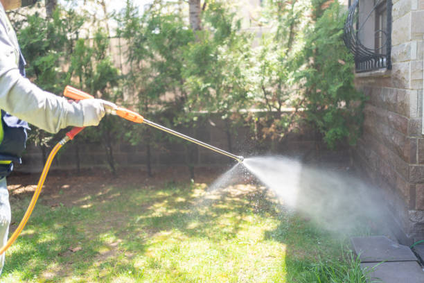 Best Best Pest Control Companies  in Binghamton, NY