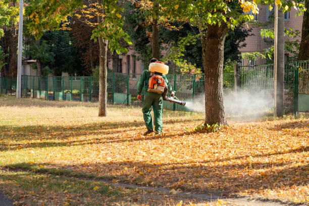 Binghamton, NY Pest Control Company