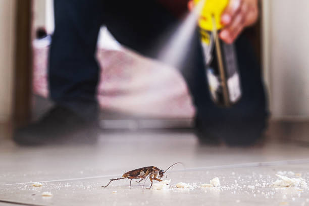Best Pest Prevention Services  in Binghamton, NY