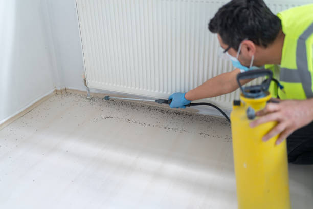 Best Exterminator Services  in Binghamton, NY