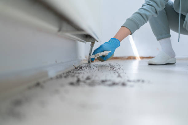Best Pest Control Near Me in Binghamton, NY