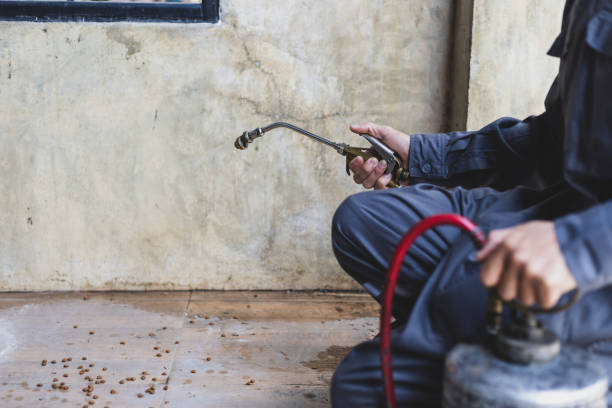 Pest Prevention Services in Binghamton, NY
