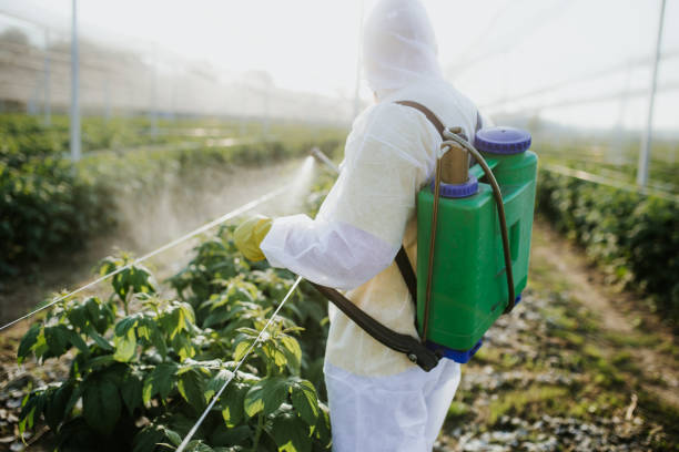 Best Ant Control Services  in Binghamton, NY